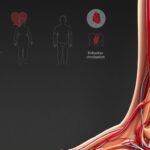 exercises for poor circulation in legs